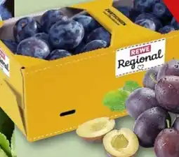 REWE Rewe Regional Zwetschgen Angebot