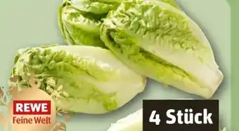 REWE Rewe Feine Welt Römersalat Extra fein Angebot