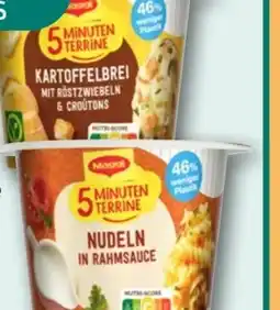 REWE Maggi 5 Minuten Terrine Kartoffelbrei Angebot