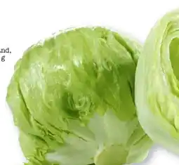 Scheck-in-Center Eisbergsalat Angebot