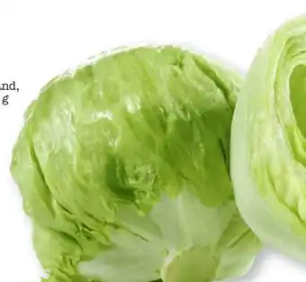 Scheck-in-Center Eisbergsalat Angebot