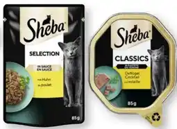 Scheck-in-Center Sheba Selection Angebot