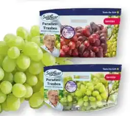 Scheck-in-Center SanLucar Trauben Angebot