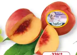 Edeka SanLucar Nektarinen Platerinas Angebot