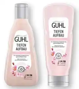 Scheck-in-Center Guhl Shampoo Tiefen Aufbau Angebot