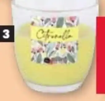 Scheck-in-Center Citronella Kerzenglas Angebot