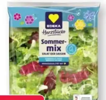 Scheck-in-Center Edeka Herzstücke Sommermix Angebot