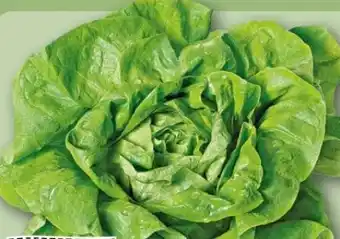 REWE Center Rewe Regional Kopfsalat Angebot