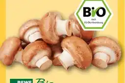REWE Center Rewe Bio Champignons Angebot
