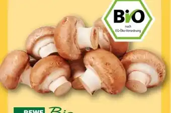 REWE Center Rewe Bio Champignons Angebot