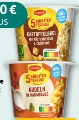 REWE Maggi 5 Minuten Terrine Nudeln in Rahmsauce Angebot