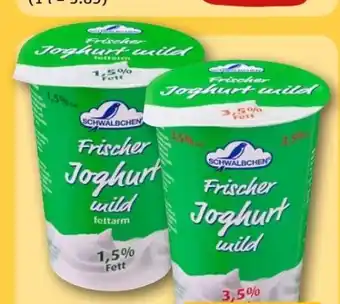 REWE Center Schwälbchen Frischer Joghurt Mild Angebot
