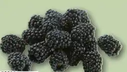 REWE Center Rewe Regional Brombeeren Angebot