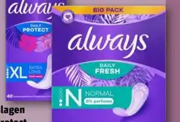 REWE Always Slipeinlagen Daily Protect XL Angebot
