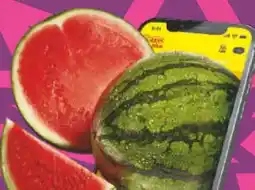 Netto Marken-Discount MarktTag Mini-Wassermelone Angebot