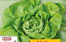 REWE Rewe Regional Kopfsalat Angebot
