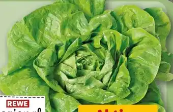 REWE Rewe Regional Kopfsalat Angebot