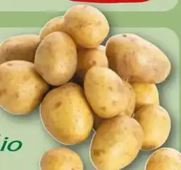 REWE Rewe Bio Bio-Speisekartoffeln Angebot
