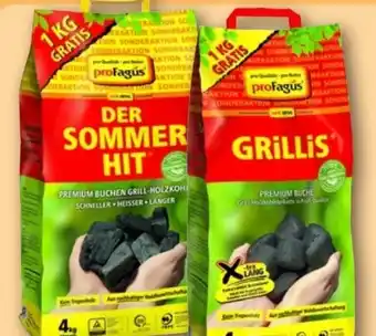 REWE proFagus Der Sommerhit Bio-Holzkohle Angebot