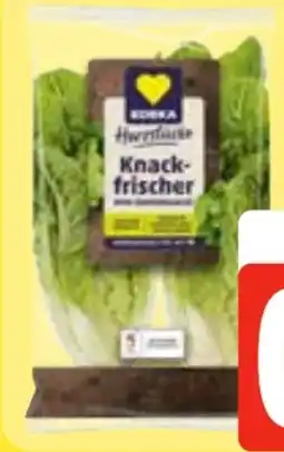 Edeka Frischemarkt Edeka Herzstücke Mini Romanasalat Angebot