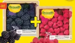 Edeka Driscoll's Himbeeren Angebot