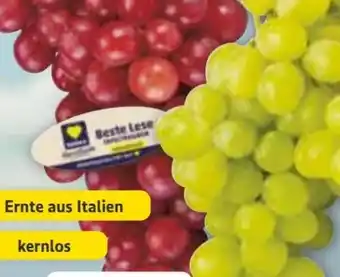 Edeka Edeka Herzstücke Tafeltrauben Angebot