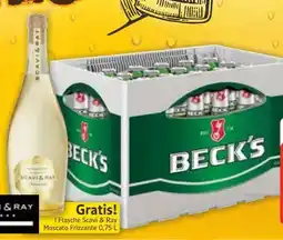Edeka Beck's Bier Angebot