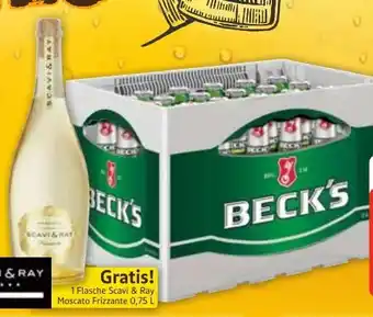 Edeka Beck's Bier Angebot