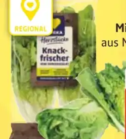 Edeka Edeka Herzstücke Mini Romanasalat Angebot