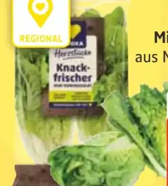 Edeka Edeka Herzstücke Mini Romanasalat Angebot