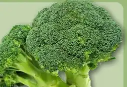 REWE Center Broccoli Angebot