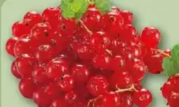 REWE Rewe Regional Johannisbeeren Angebot