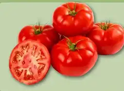 REWE Fleischtomaten Angebot