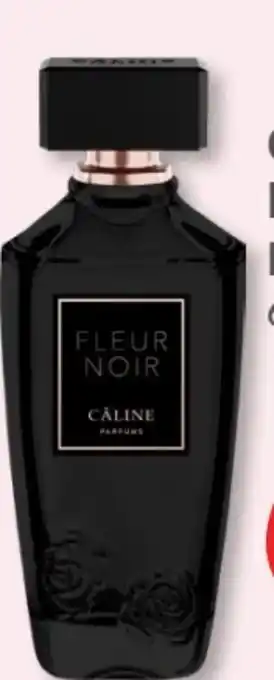 Budni Câline Fleur Noir EdP Angebot
