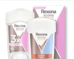 Budni Rexona Maximum Protection Creme Stick Angebot