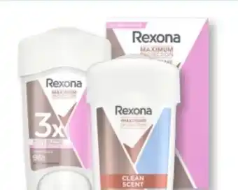 Budni Rexona Maximum Protection Creme Stick Angebot