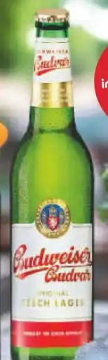 Netto Marken-Discount Budweiser Budvar (CZ) Original Czech Imported Lager Angebot