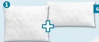 PENNY John Cotton Kopfkissen Angebot