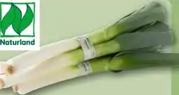 REWE Rewe Bio Porree Angebot