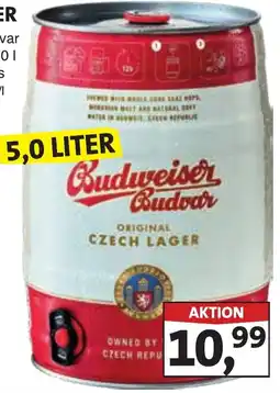 Lösch Depot BUDWEISER Budvar Angebot
