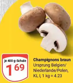 Globus Champignons braun Angebot