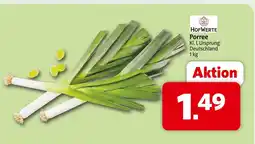 Markant Hofwerte porree Angebot