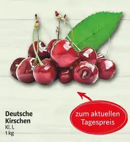 Markant Deutsche kirschen Angebot