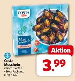 Markant Costa muscheln Angebot
