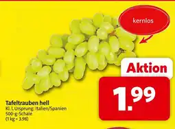Markant Tafeltrauben hell Angebot