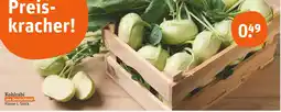 tegut Kohlrabi Angebot