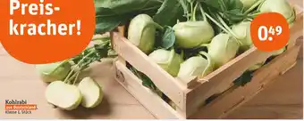 tegut Kohlrabi Angebot