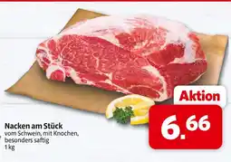 Markant Nacken am stück Angebot