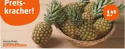 tegut Ananas sweet Angebot