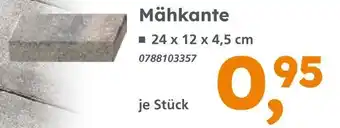 Globus Baumarkt Mähkante Angebot